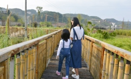 #首届摄影大赛#【自由组】姐妹情深