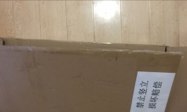 玩手游抽到SSR，阵列蝶也做姐姐了~