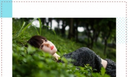 不唱离歌，不诉《离殇》——阿离的纪念册·下