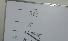 第四成员组：养娃小技巧与超速打粉攻略！