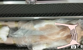 先纳信高大妹开箱贴(附视频)
