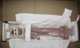 The Doll Album DaveC（004）【转载】