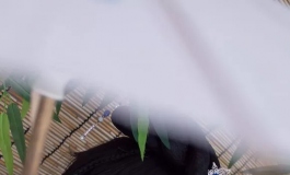 只一眼便惊艳再不忘