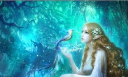 精灵的性感诱惑|玩美165+154#