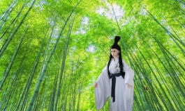 女侠雨璇