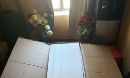 exdoll145+S萤开箱，家里人刚走，开箱急了点