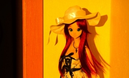 The Doll Album GirlsGang（009）【转载】