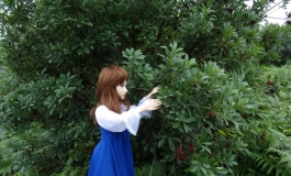 果园少女（1）