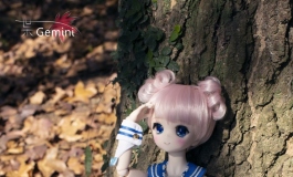和啾啾一起~追寻初秋~（售卖帖~给想看的人看~）