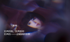 第四成员组：刑前对话 下 （人造人6号.加奈.蝶.萨曼莎）