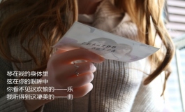 第四成员组：刑前对话 下 （人造人6号.加奈.蝶.萨曼莎）