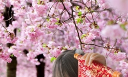 【花音】扔出了纸飞机，新年的祝福开始飞翔！