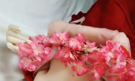 【阿离】狐那个离呀 >_< 手机渣拍先行版