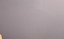 版主，这个娃娃的身体是你家的吗？我要买