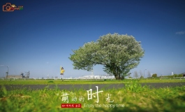 萌动的时光~！
