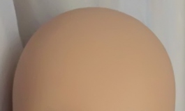 历经波折，小洋子到家，比想象的美
