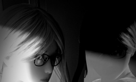 The Doll Album Zombieripper（003）【转载】