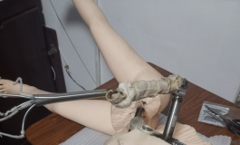 有拆娃娃教程吗，拆了一半有点无从下手