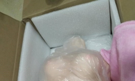 我与实体娃娃的日子