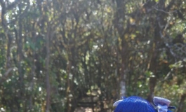 【AZONE6分】【直男勿入】蓝莓 旅拍in磨盘山