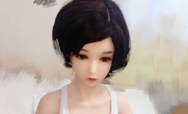 白蝶随拍