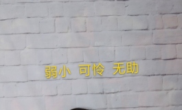 猪头丽第一次曝光