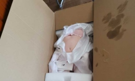 人造人7号开箱