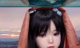 蝶儿无双
