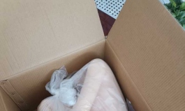 福娃168开箱评测（140看我以前帖子）