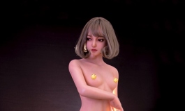 星艺人型-153细节图