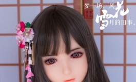【花与雪】梦一场，风花雪月的旧事
