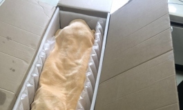 她来咯，她来咯，148洛娜。