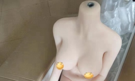 碟