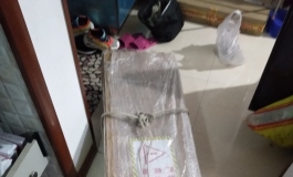 奇她柳飘飘开箱