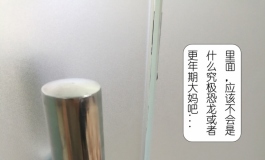 剧情片——“国际安保”公司（入职篇）