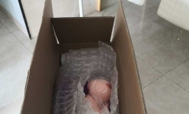 开箱及第一次体验实体娃娃