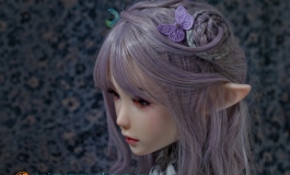 秋天的小精灵