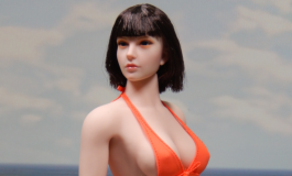 The Doll Album hansdampf21（026）【转载】