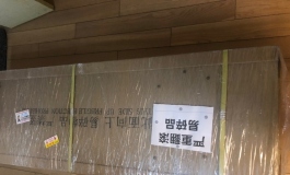 终于收到了人造人9号同学