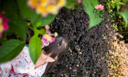 长假外拍（一）花下偶遇