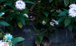 长假外拍（二）花间俏立