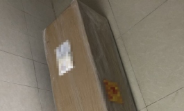 爱度娃娃151开箱
