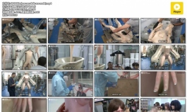 DS DOLL (how sex dolls are made)