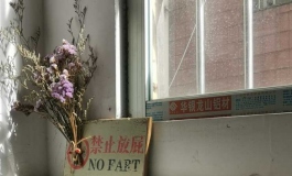 求助