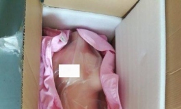 双十一期间在韩老板那里撸了个橙爱的今天就跟大家分享下
