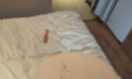 精灵葵来一套