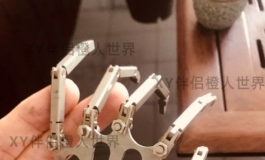 xy伴侣橙人世界——指骨展示