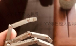 xy伴侣橙人世界——指骨展示