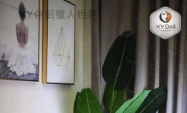 xy伴侣橙人世界--川夏预告短片