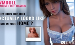 wmdoll 140cm D cup head 56